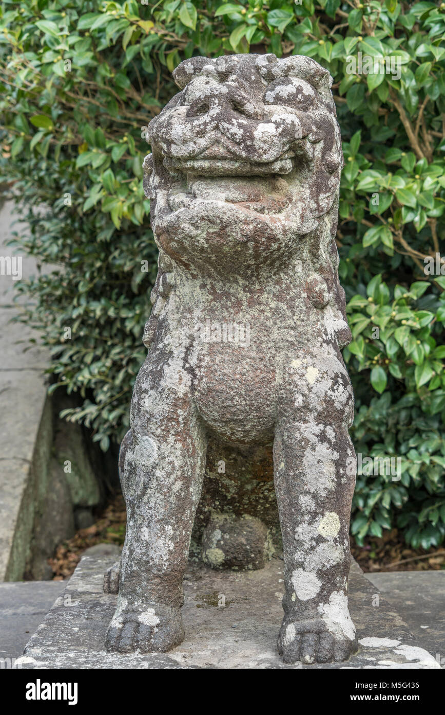 Stone carved um-gyo (Open mouth) Komainu Lion-dog guardian dated year 1668 (8 Kanbun era). Tsurugaoka Hachimangu Shinto shrine the most important Shin Stock Photo