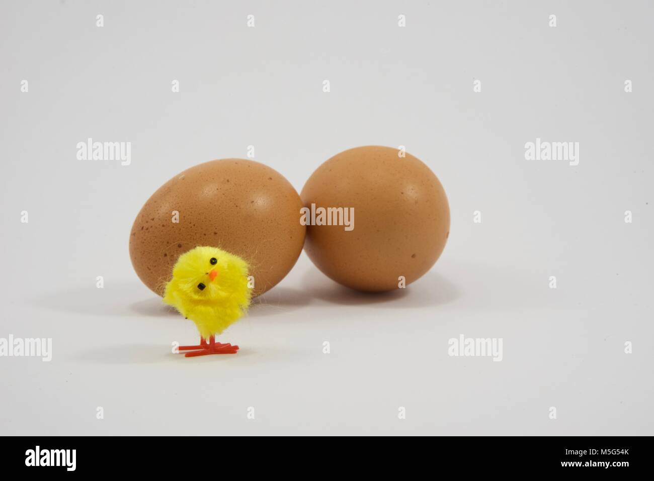 Fluffly chick hires stock photography and images Alamy