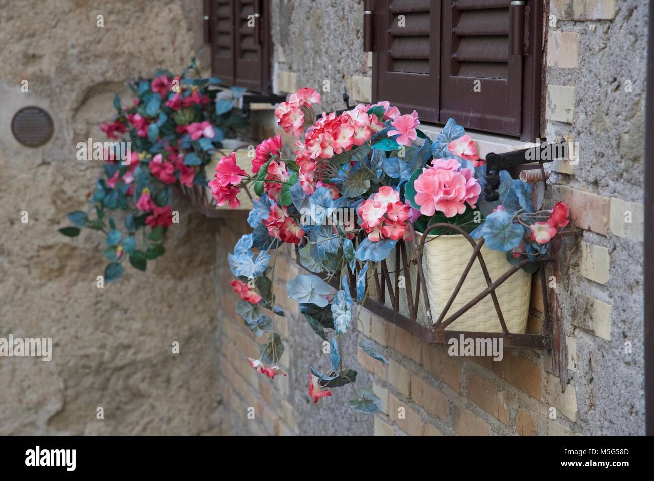 Artificial house plant hires stock photography and images Alamy