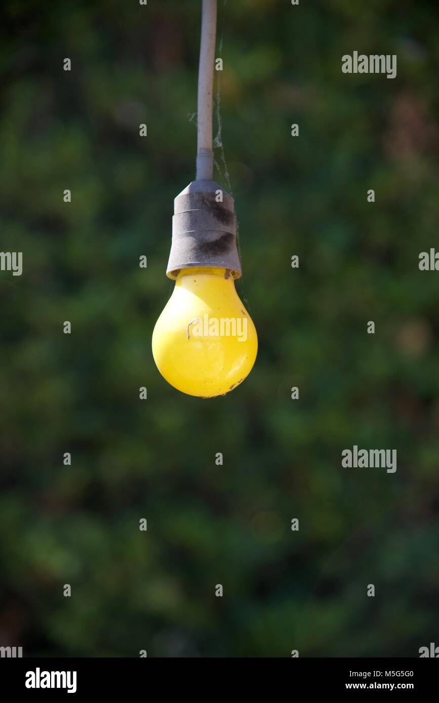 A yellow light bulb hanging outdoors Stock Photo - Alamy
