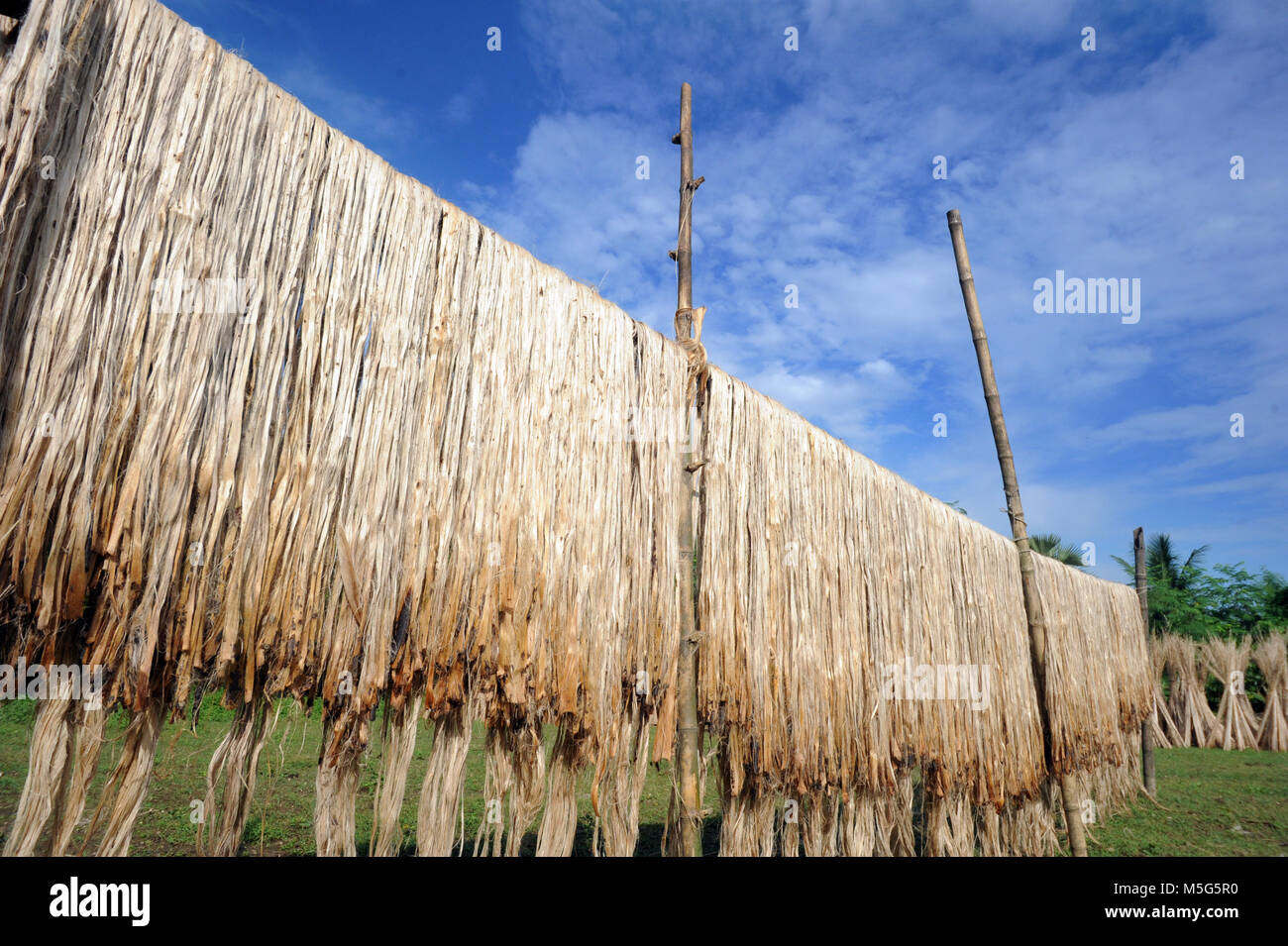 Jute fiber hi-res stock photography and images - Alamy