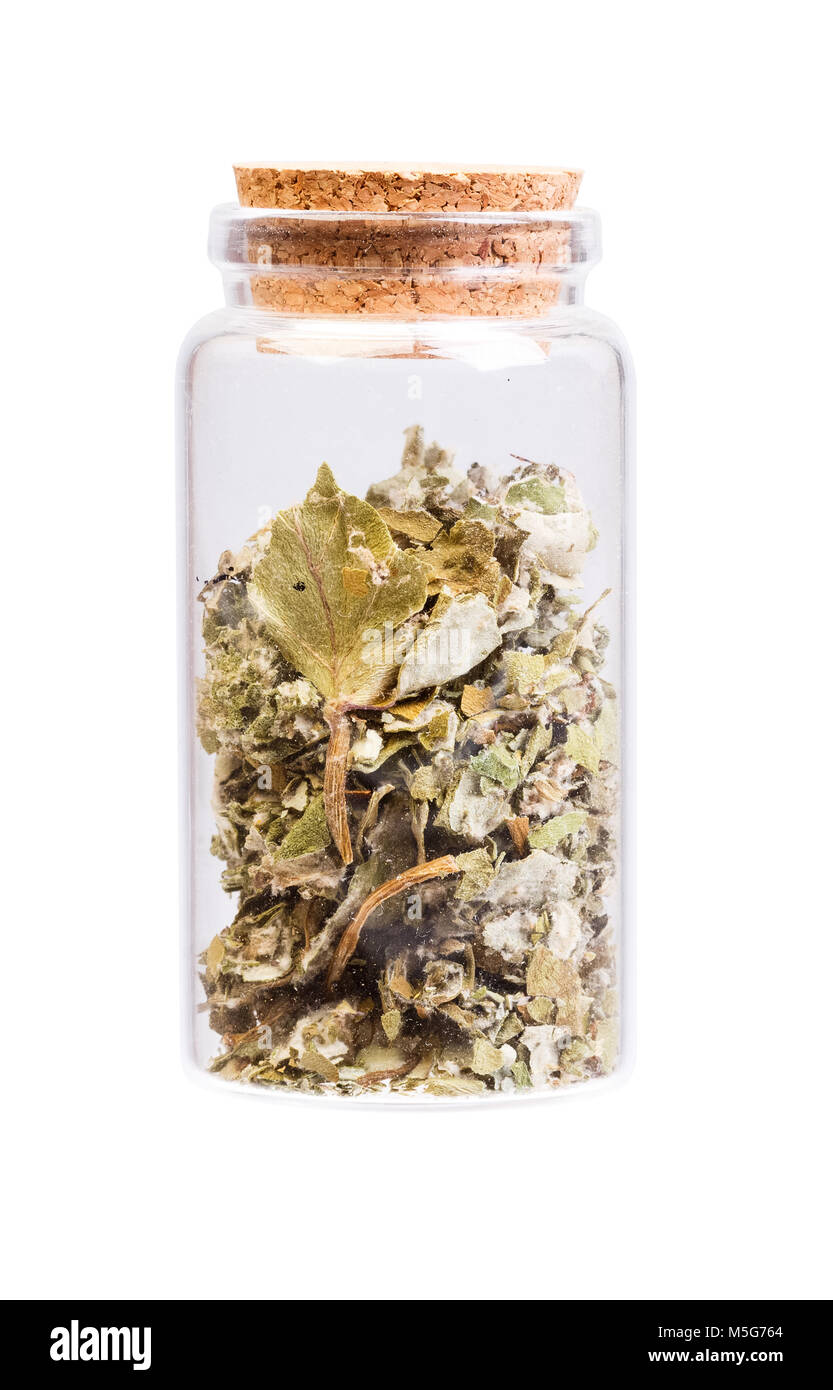 Dried foliage of coltsfoot Tussilago farfara in a bottle with cork stopper for medical use. Stock Photo