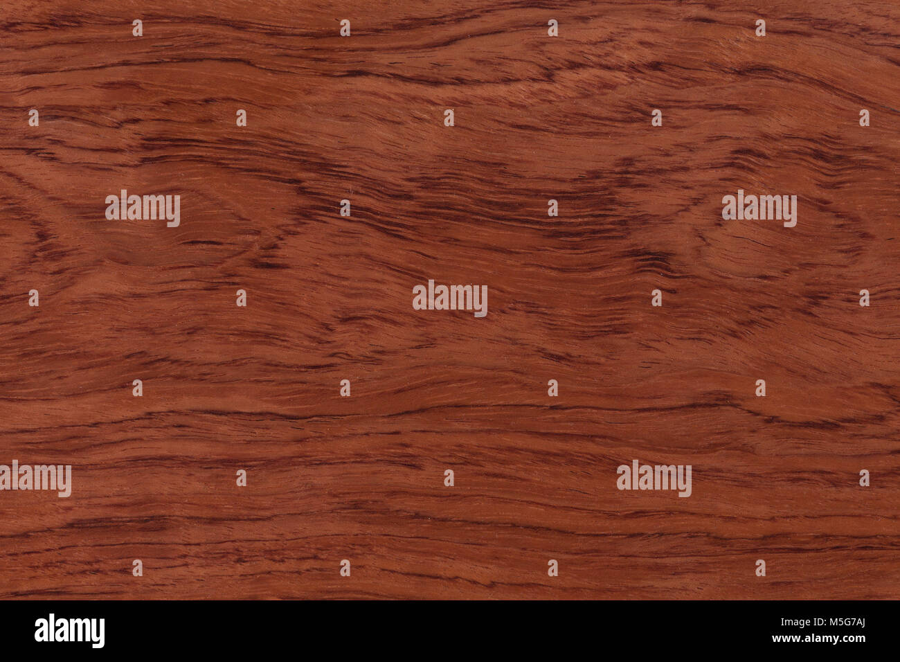 Red natural wood texture. Extremely high resolution photo. Hi res photo. Stock Photo