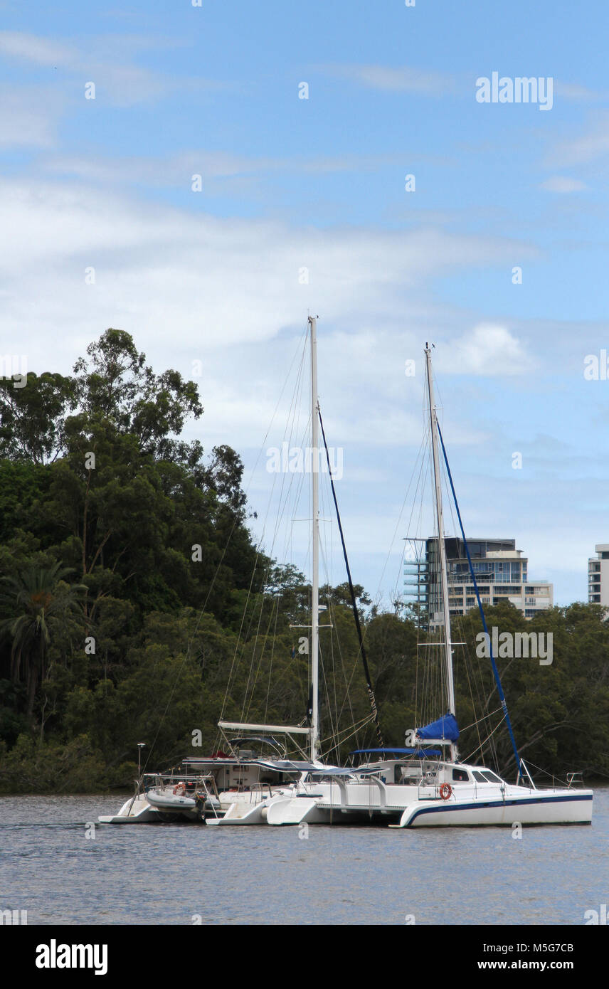 Two catamarans stationary on Brisbane River, Australia Stock Photo
