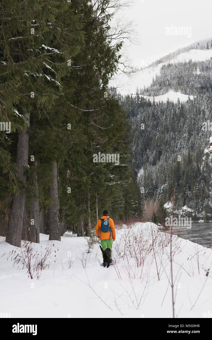Man walking with his dog on a snowy landscape Stock Photo - Alamy