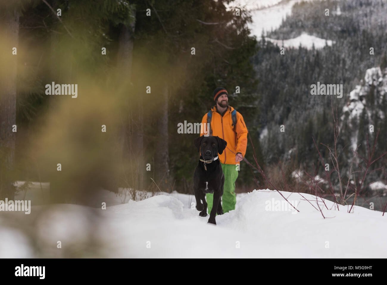 Man walking with his dog on a snowy landscape Stock Photo - Alamy