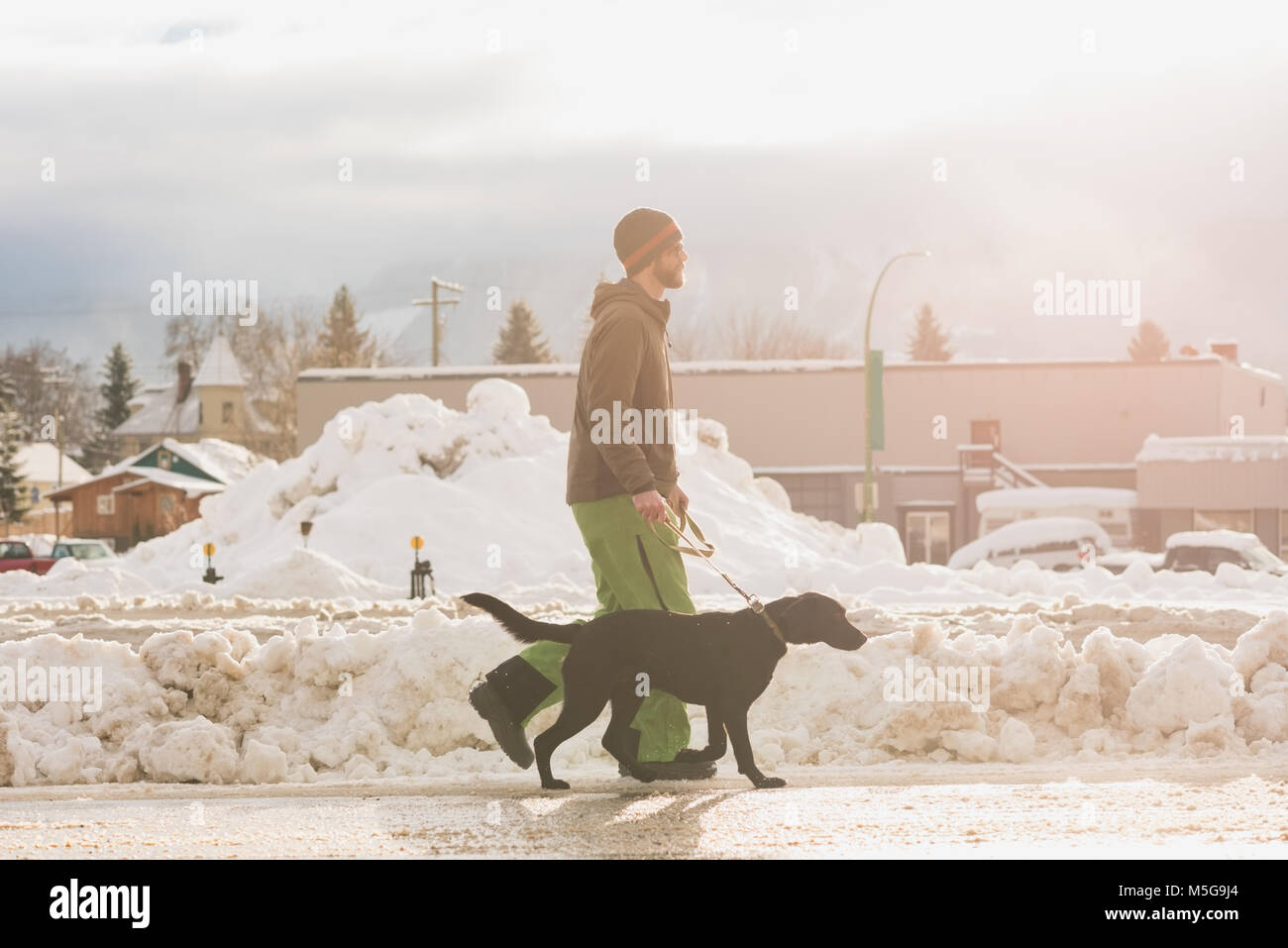 Man walking with his dog on sidewalk Stock Photo Alamy