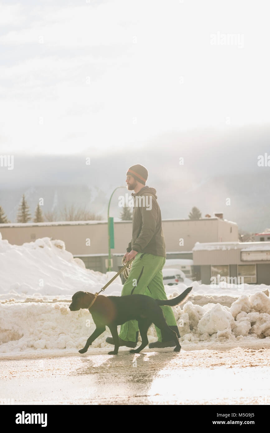 Man walking with his dog on sidewalk Stock Photo Alamy
