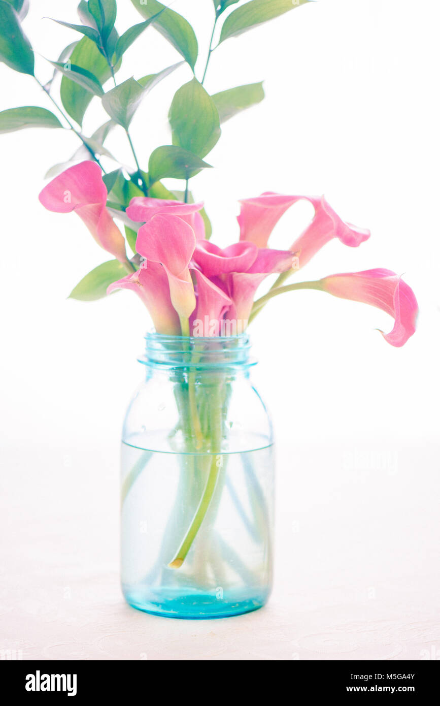 faded Callla lily in a aqua jar Stock Photo