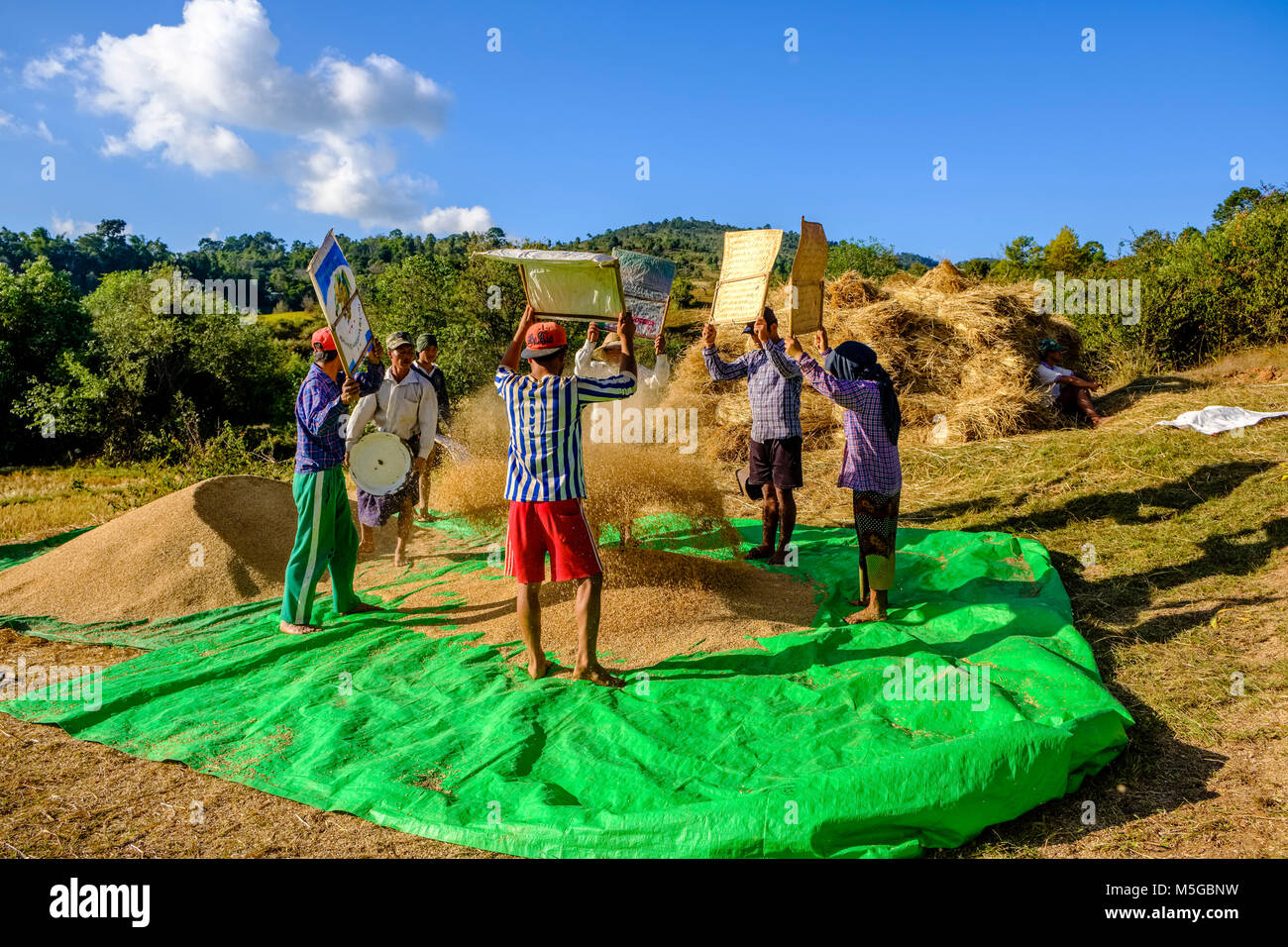 Rice husks hi-res stock photography and images - Alamy