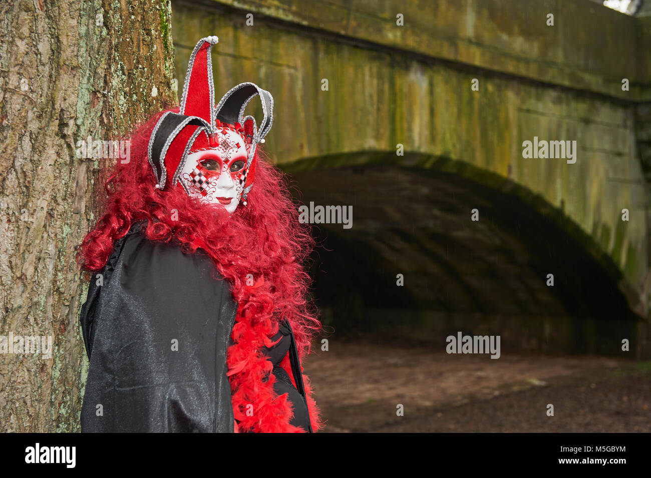 Venetian Carnival in Schwäbisch Hall a small and medieval city in Germany. the festival is called Hallia Venezia. Stock Photo