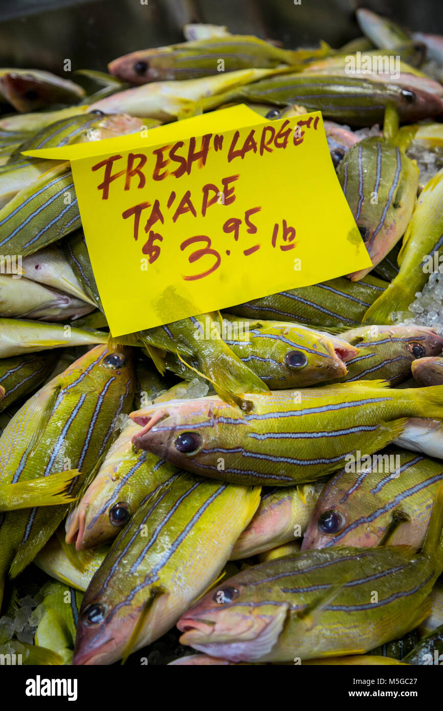 Chinatown Market Place, Honolulu, Oahu, Hawaii Stock Photo Alamy