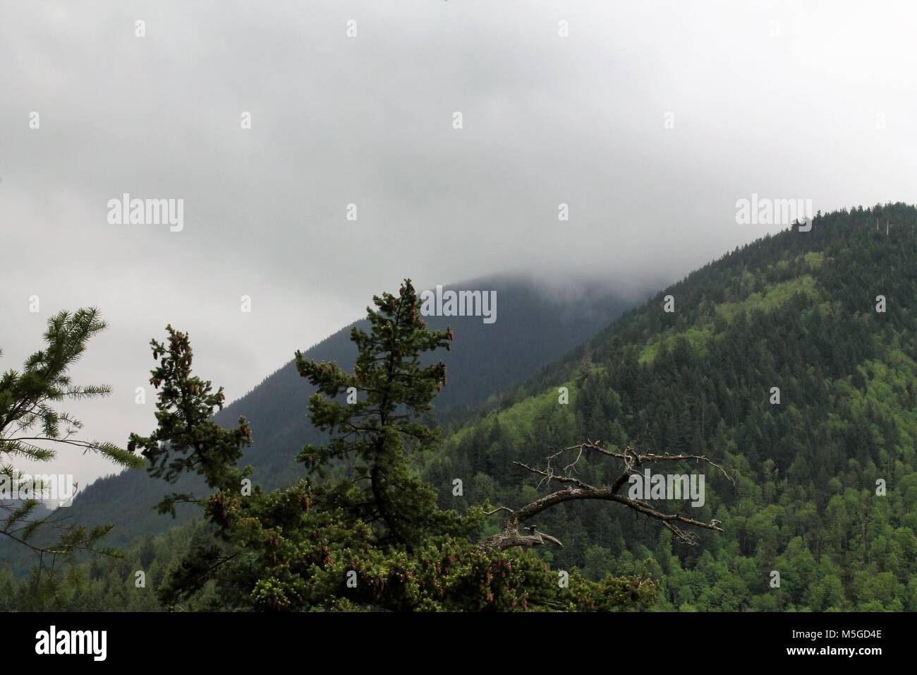 Foggy Rocky Mountain Peaks Stock Photo - Alamy