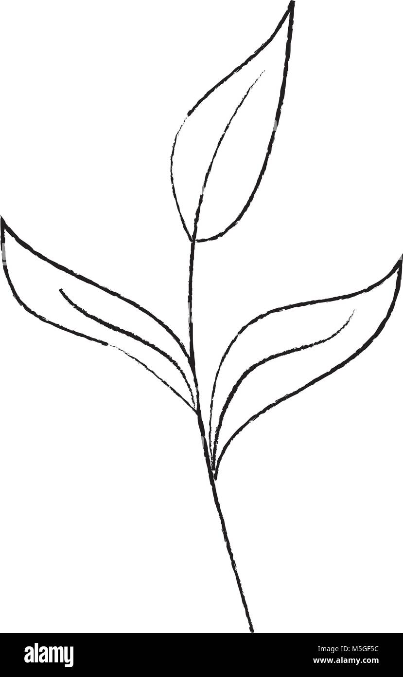 branch leaves plant natural botanical icon Stock Vector Image & Art - Alamy