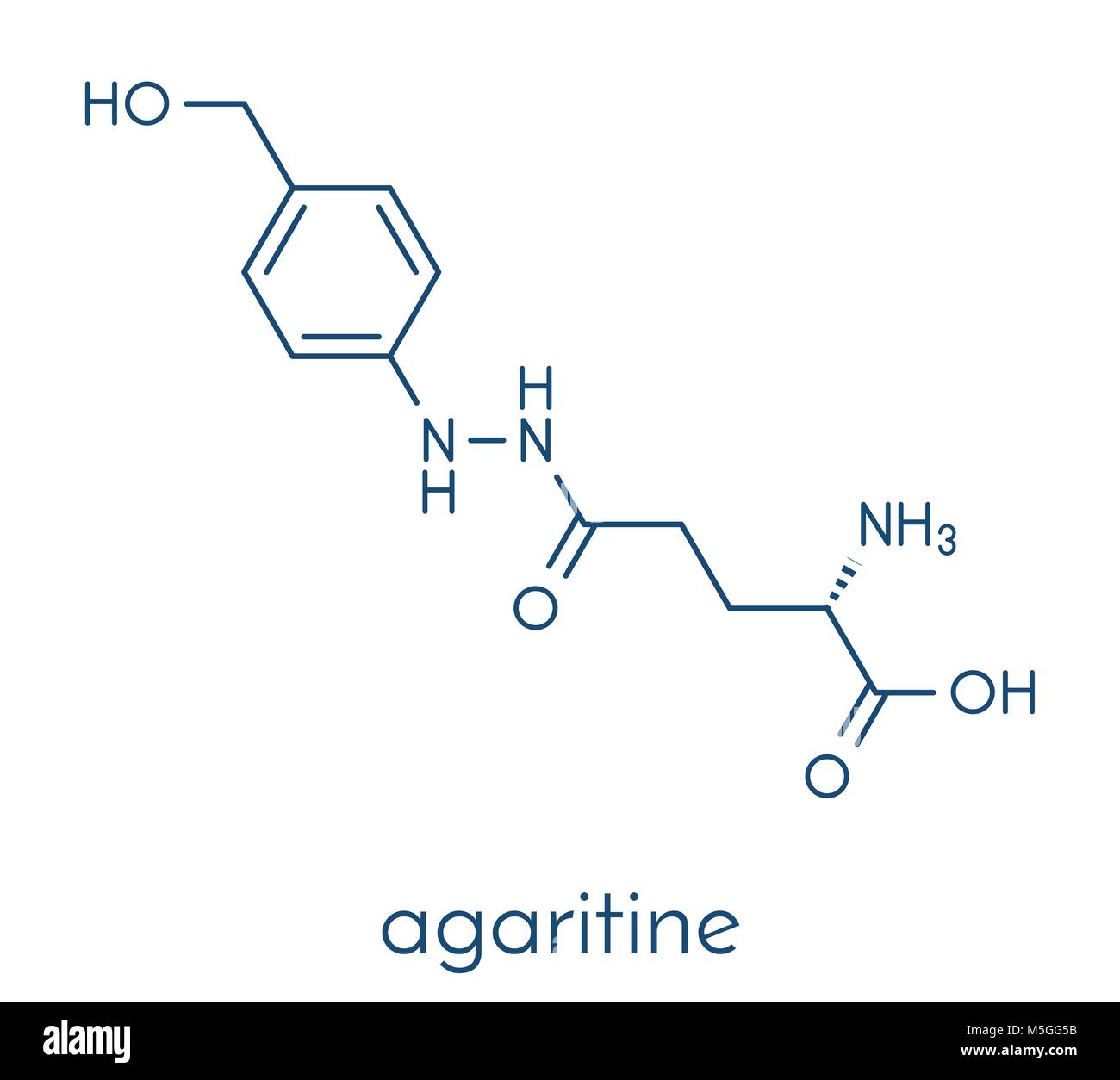 Agaritine mushroom toxin molecule. Skeletal formula Stock Vector Image