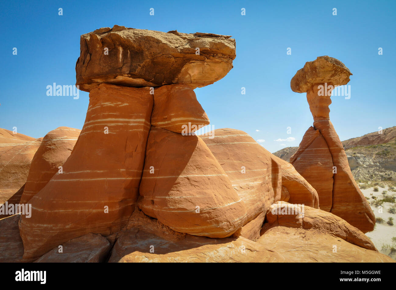 Toadstool Hoodoos in Paria Rimrock Park Stock Photo