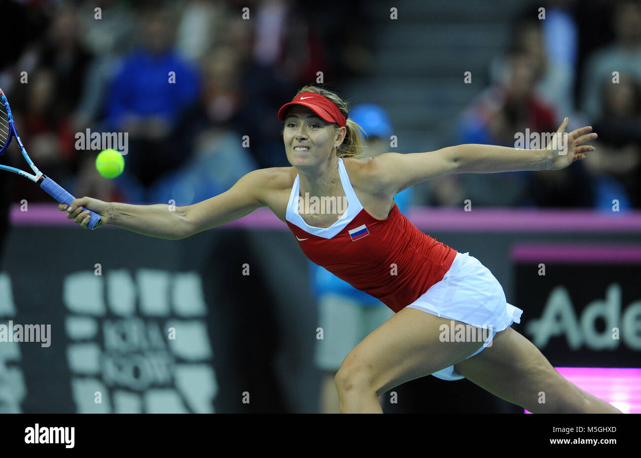 KRAKOW POLAND FEBRUARY 7 2015 Maria Sharapova During Tennis Cup 