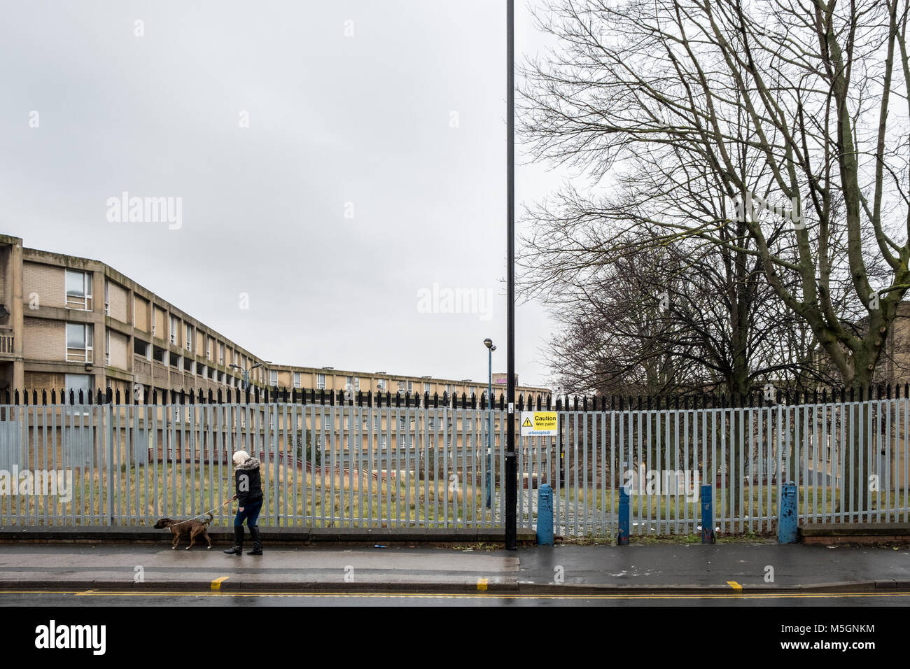 Woman and her dog walking past security fencing around housing that has been declared unsafe. Park Hill flats, Sheffield, England, UK Stock Photo