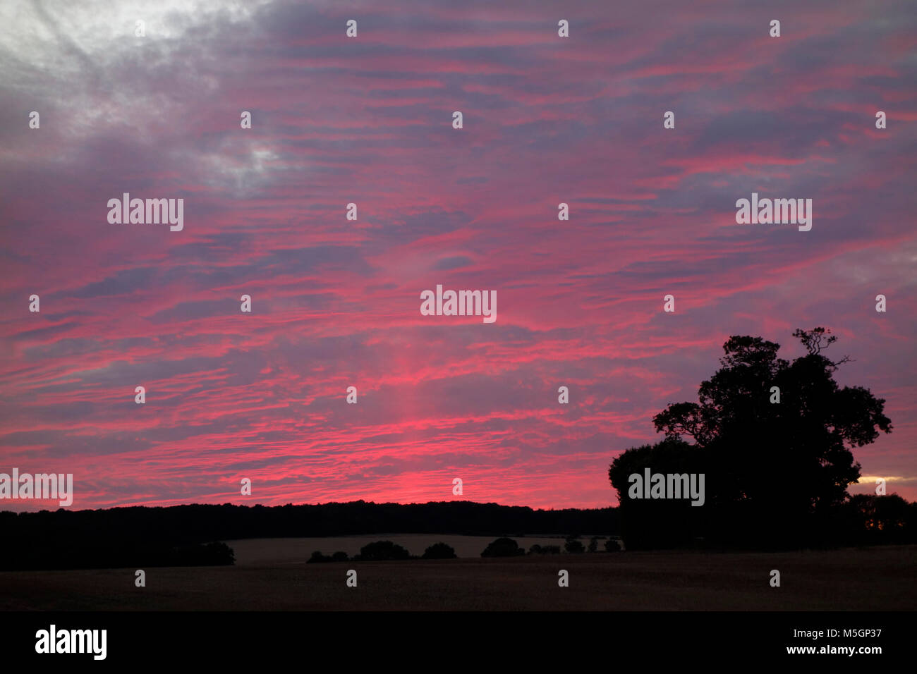 Light pillar hi-res stock photography and images - Alamy