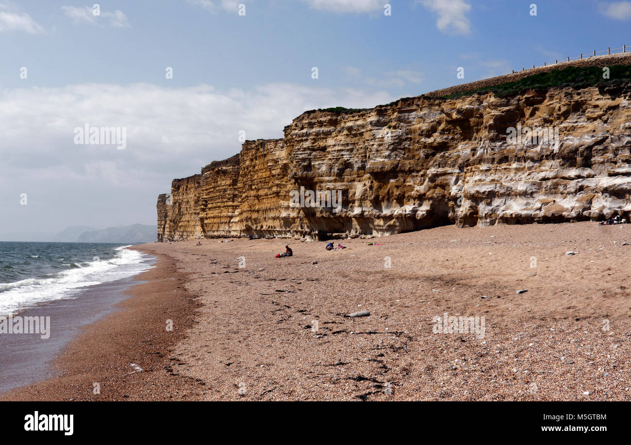 HIVE BEACH BURTON BRADSTOCK DORSET. UK. Stock Photo