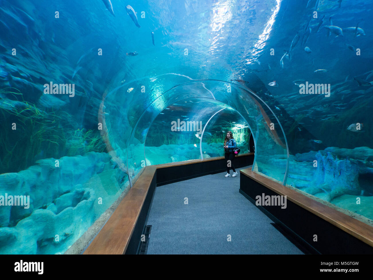 Poema del Mar, new aquarium in Las Palmas, Gran Canaria, Canary Islands,  Spain Stock Photo - Alamy