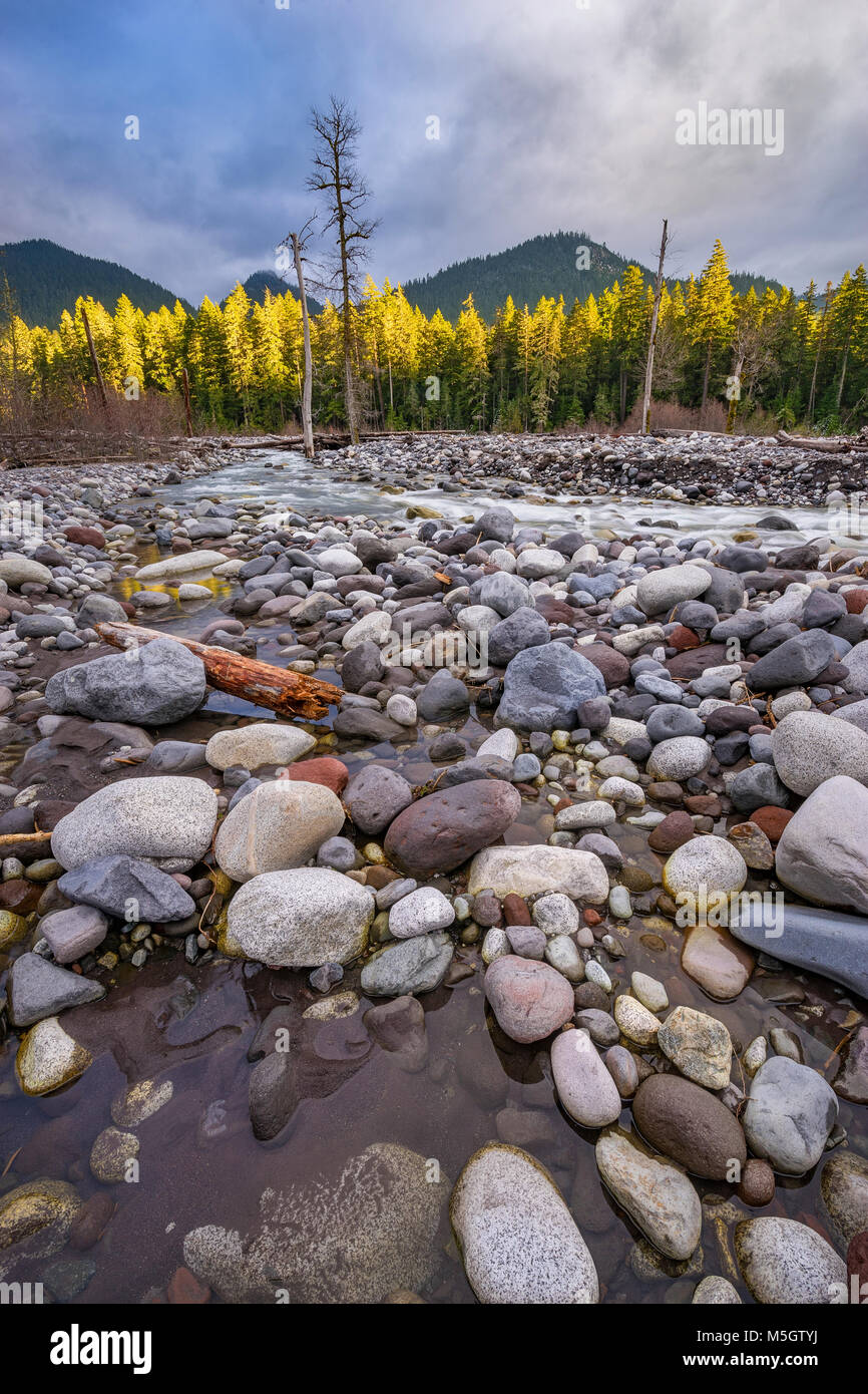 Rainier National Park Stock Photo