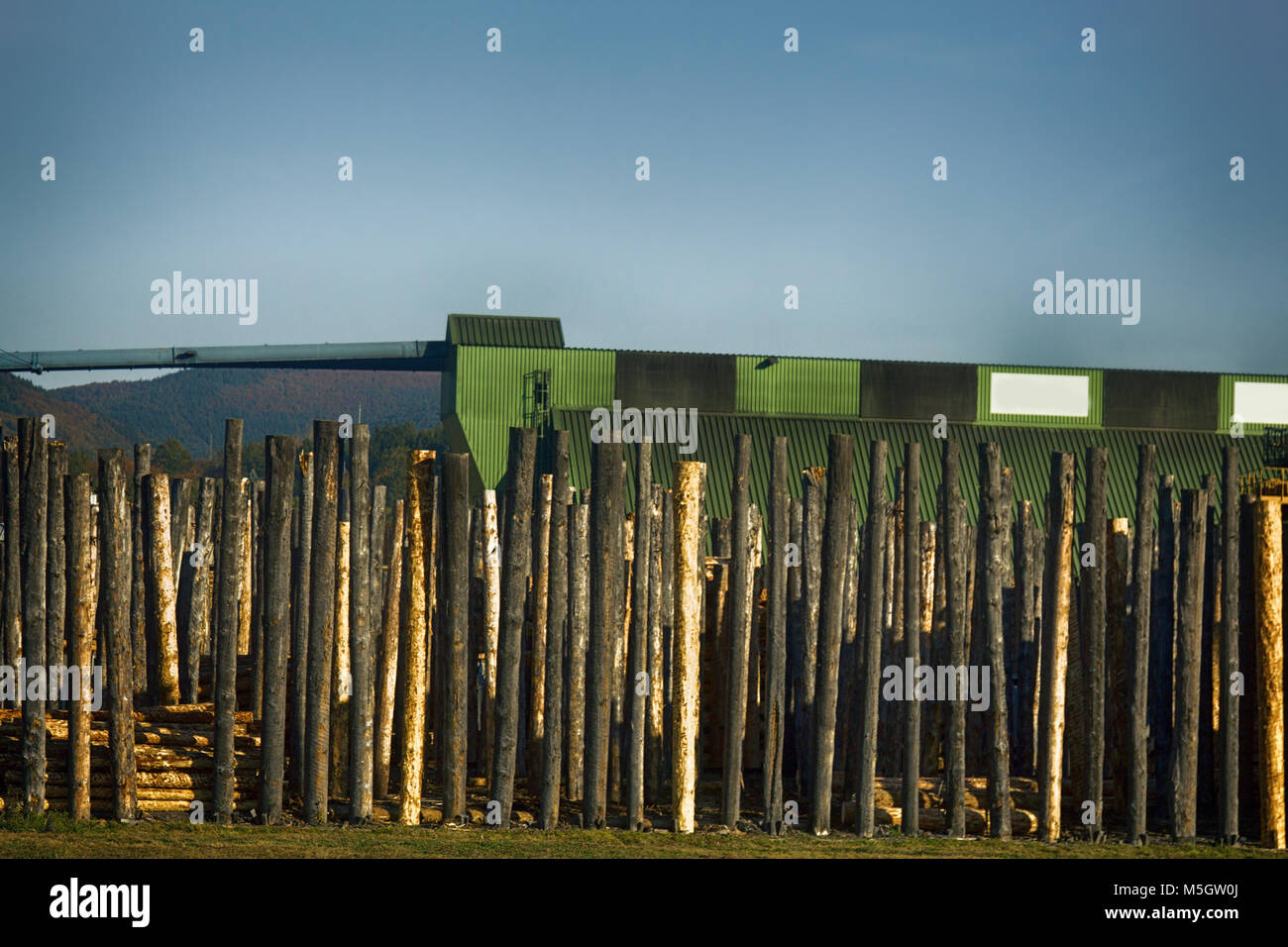 The company processing of roundwood. Sawmill, lumber mill. France