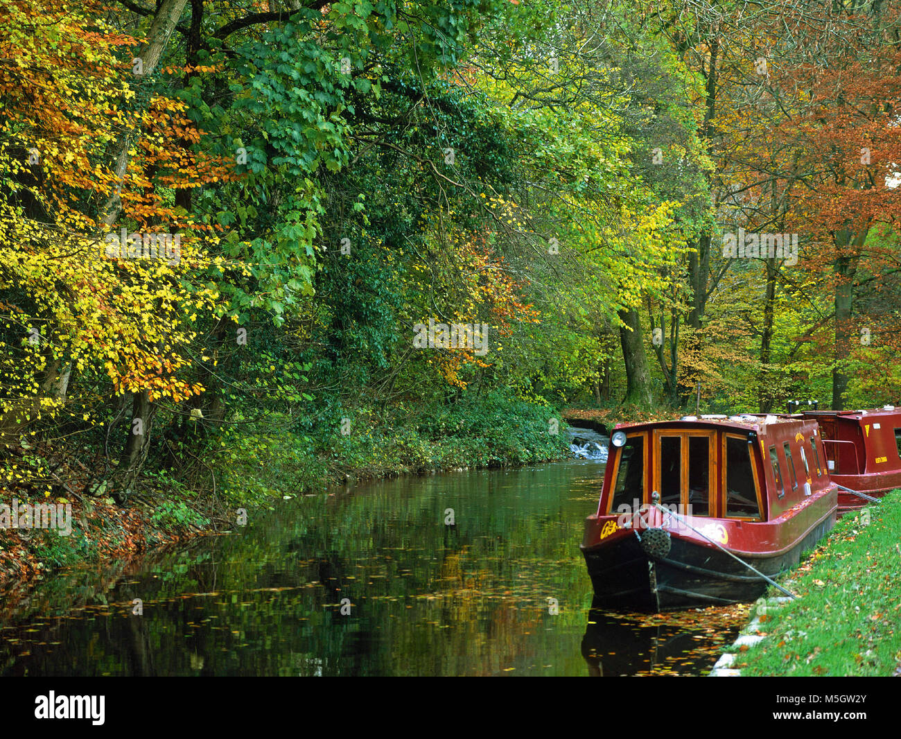 On the Monmouthshire and Brecon Canal, near Llangynidr, west of Crickhowell, Powys Stock Photo