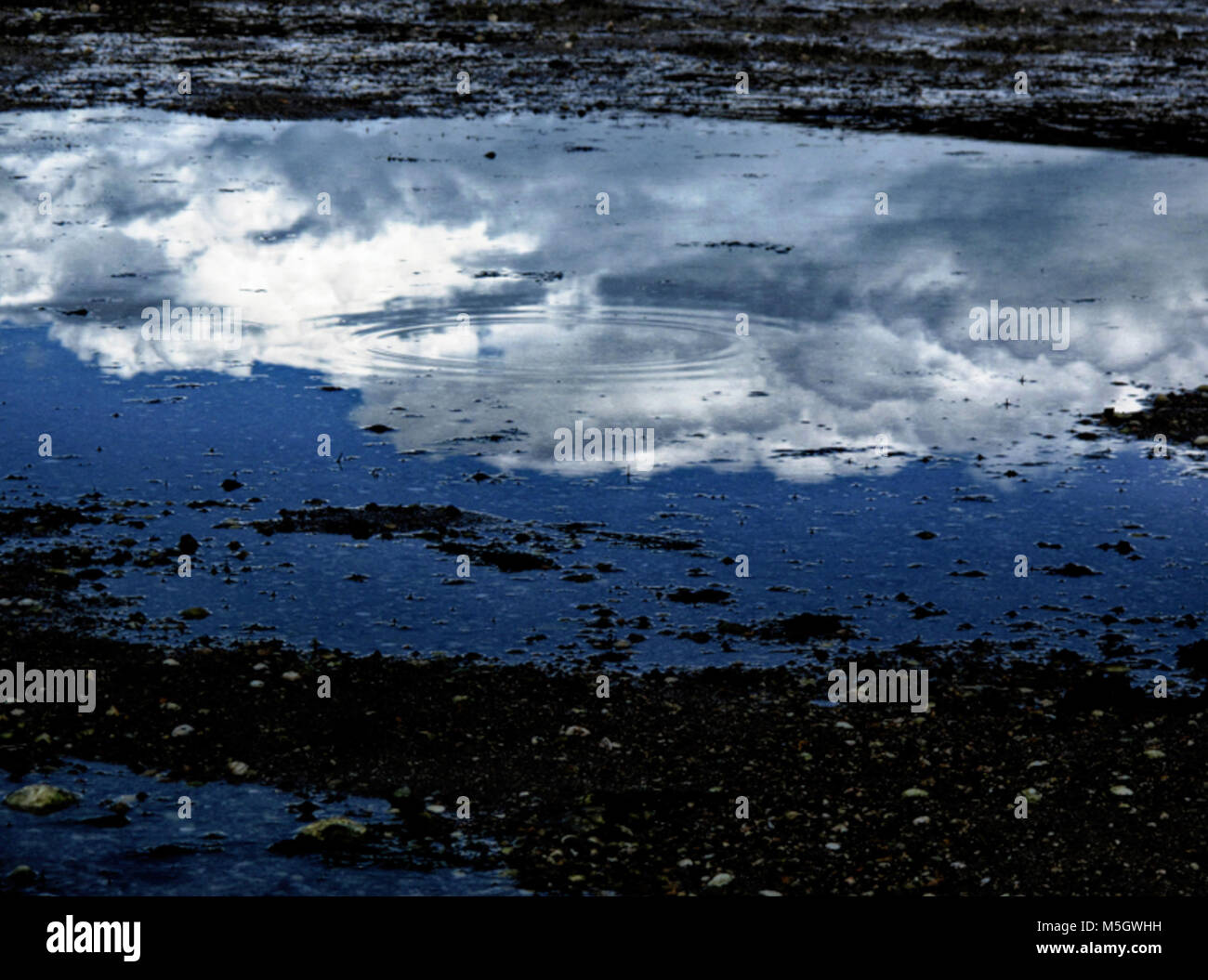 Cloud reflected in puddle Stock Photo - Alamy