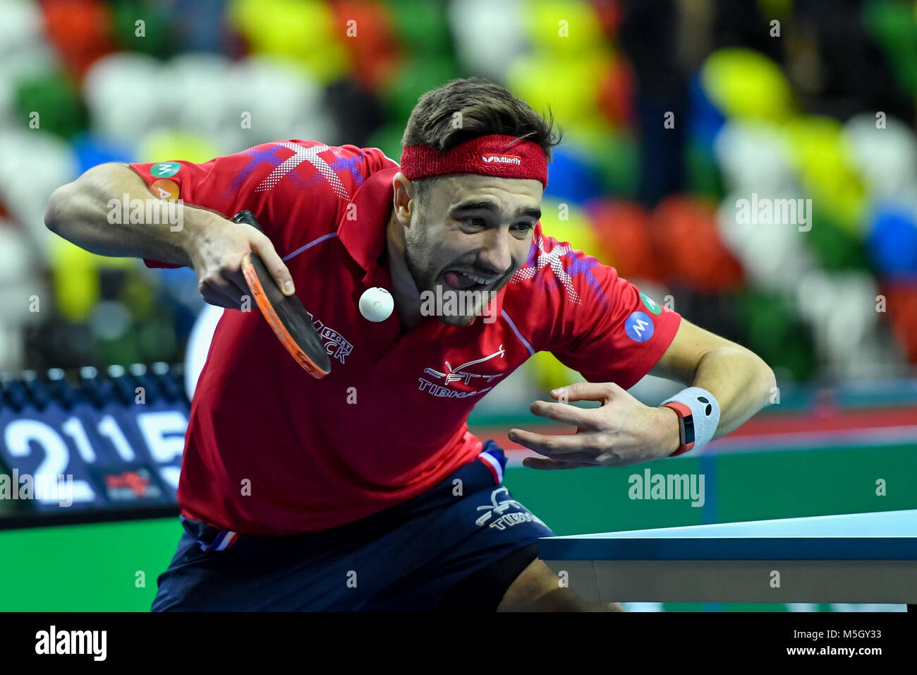 Table tennis womens individual world championships hires stock