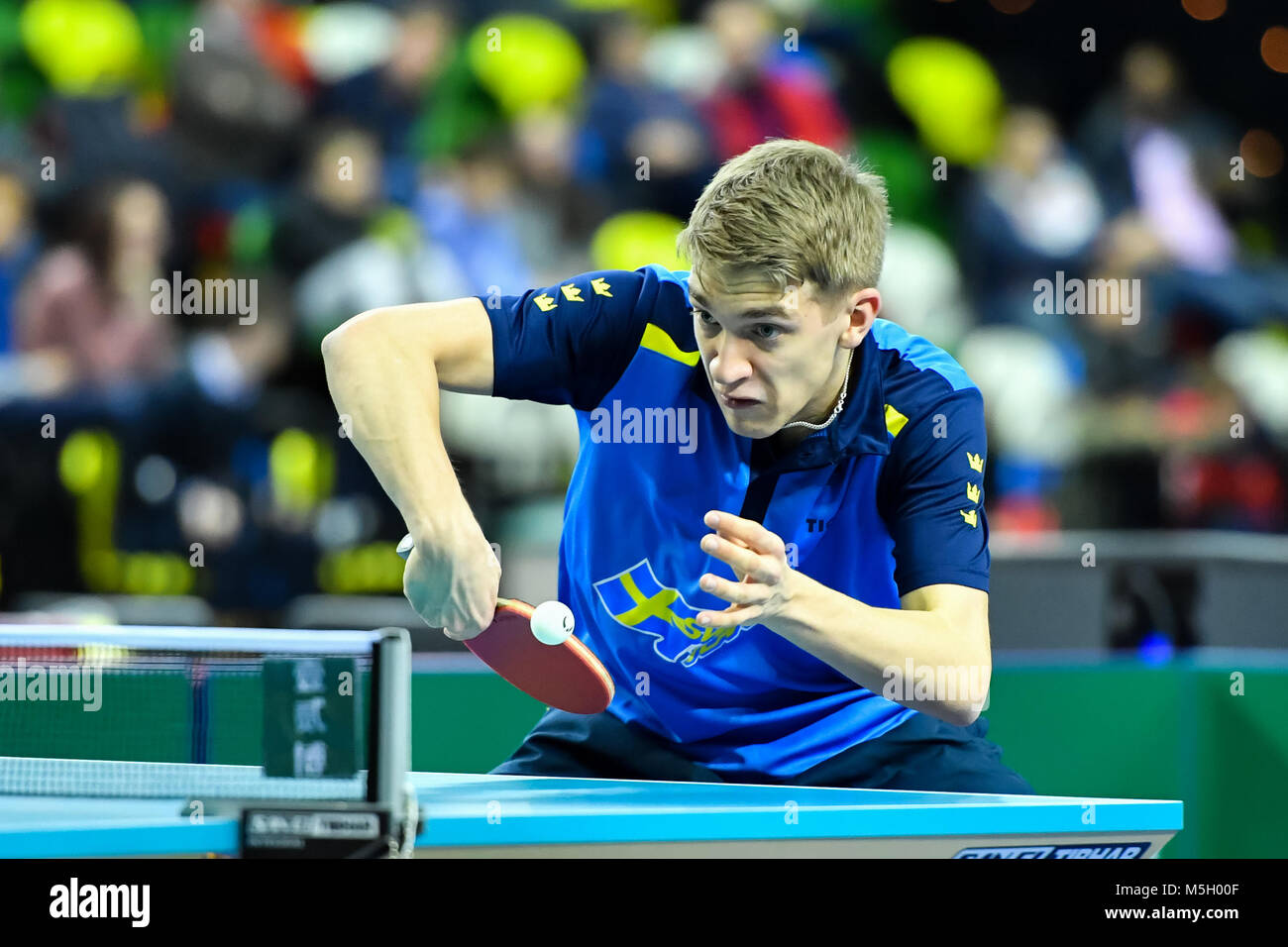 Table tennis womens individual world championships hires stock