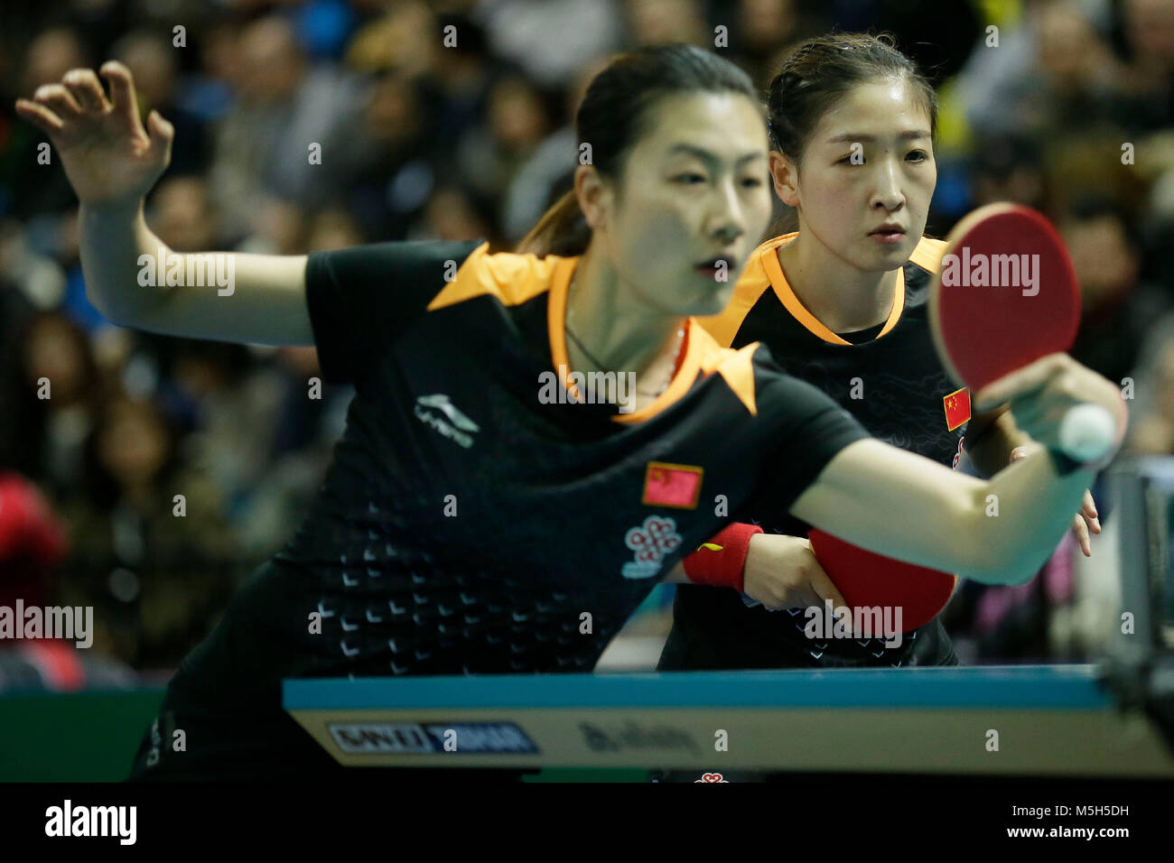 Amy wang hires stock photography and images Alamy