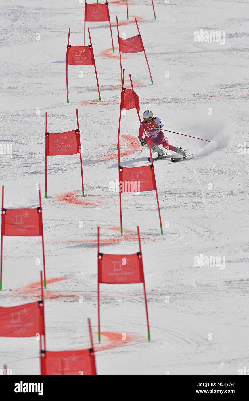Wendy HOLDENER (SUI), Aktion, Parallelslalom. Alpine Skiing Team Event, Yongpyong Alpine Centre am 24.02.2018. Olympische Winterspiele 2018, vom 09.02. - 25.02.2018 in PyeongChang/ Suedkorea. |usage worldwide Stock Photo