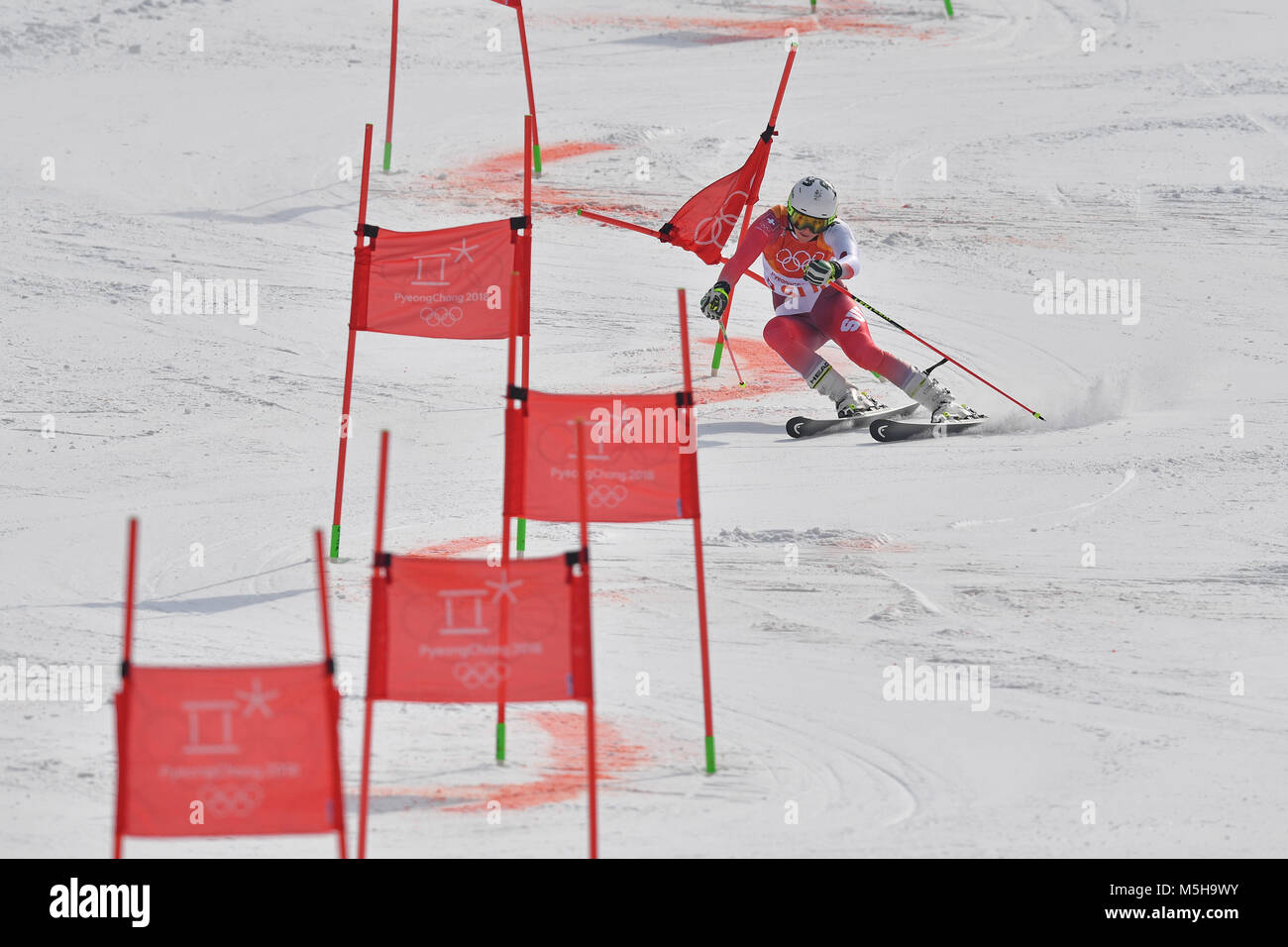 Wendy HOLDENER (SUI), Aktion, Parallelslalom. Alpine Skiing Team Event, Yongpyong Alpine Centre am 24.02.2018. Olympische Winterspiele 2018, vom 09.02. - 25.02.2018 in PyeongChang/ Suedkorea. |usage worldwide Stock Photo