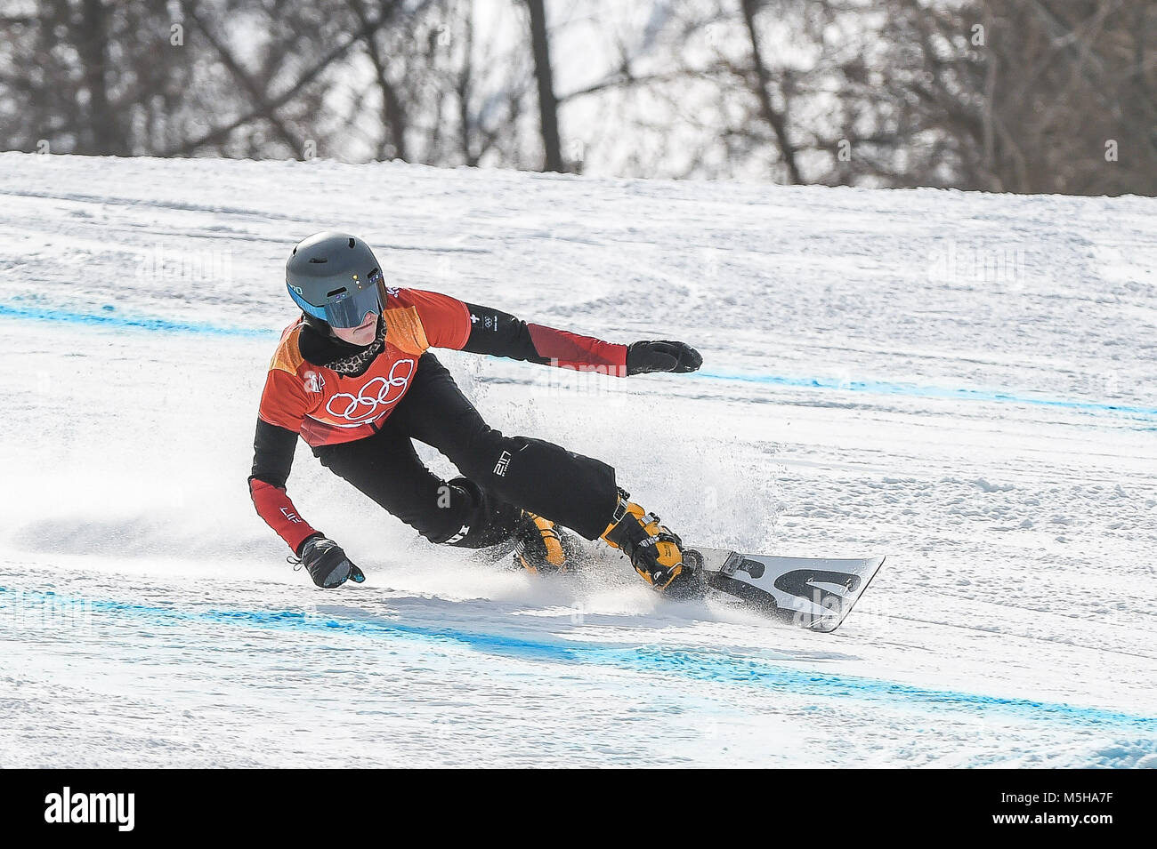 Pyeongchang, South Korea, February 24, 2018: Ladina Jenny of Â Switzerland at parallel giant slalom at winter olympics, Gangneung South Korea. Ulrik Pedersen/CSM Stock Photo