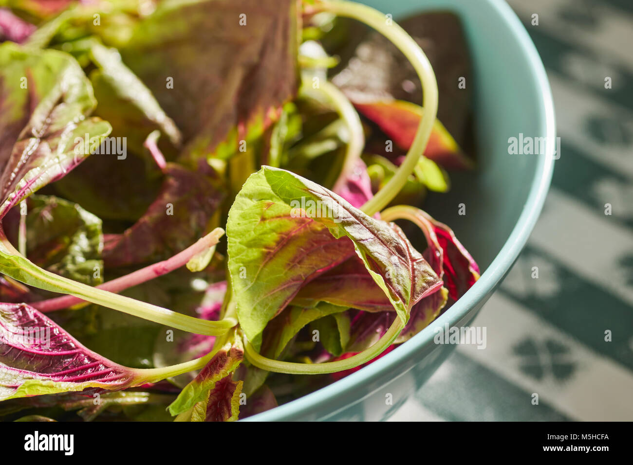 Red Amaranth, a type of spinach popular in Asian cuisines Stock Photo