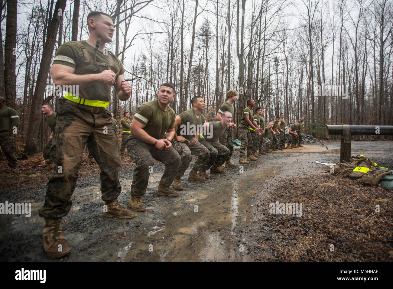 Marine Corps Force Fitness