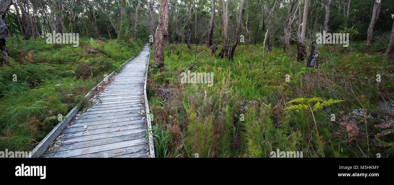 Lemon Tree Passage, NSW Stock Photo Alamy