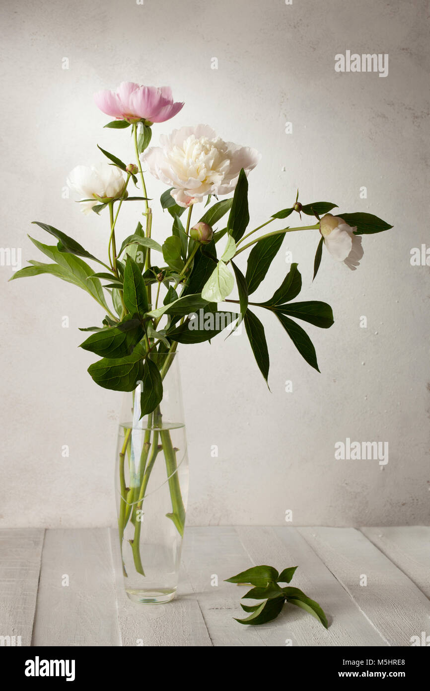 A bouquet of pale peonies in a glass vase on wooden table Stock Photo ...