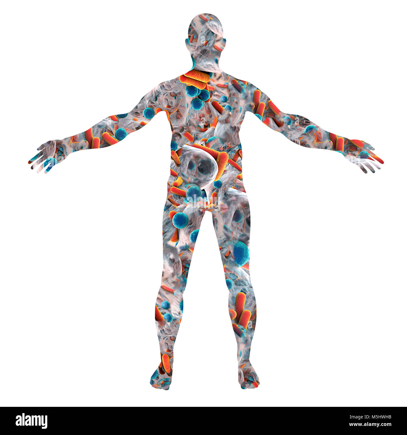 Human microbiome, conceptual illustration. Bacteria forming a human body. Stock Photo