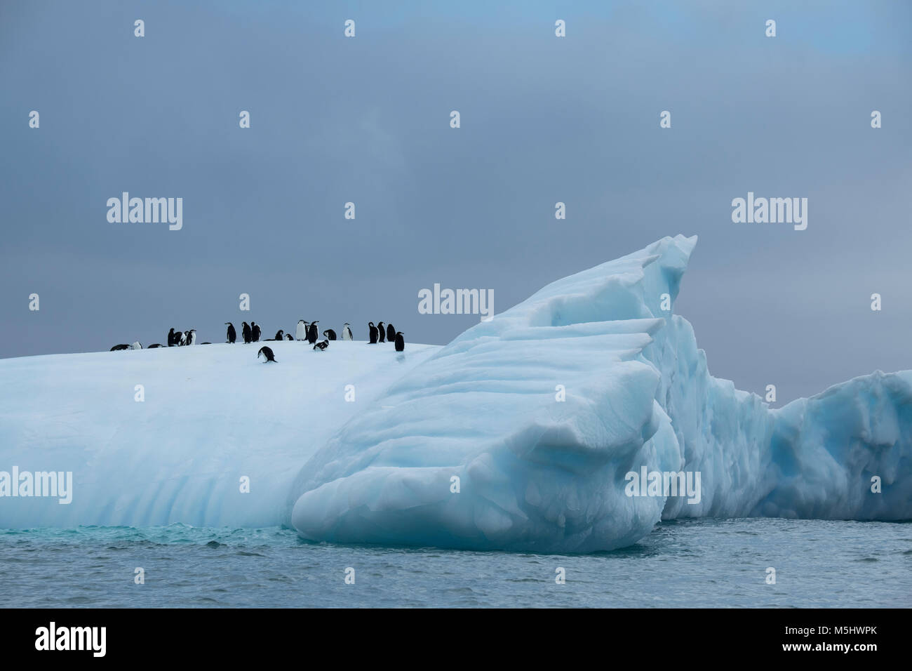 British Overseas Territory, South Sandwich Islands, Saunders Island