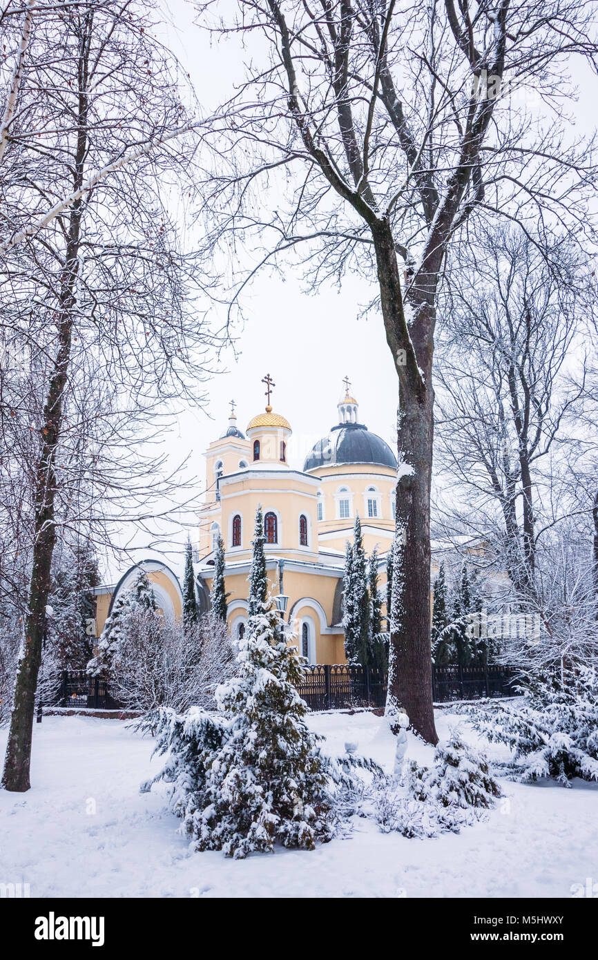 The domes of the Peter and Paul Cathedral in the city of gomel through the snow-covered trees Stock Photo