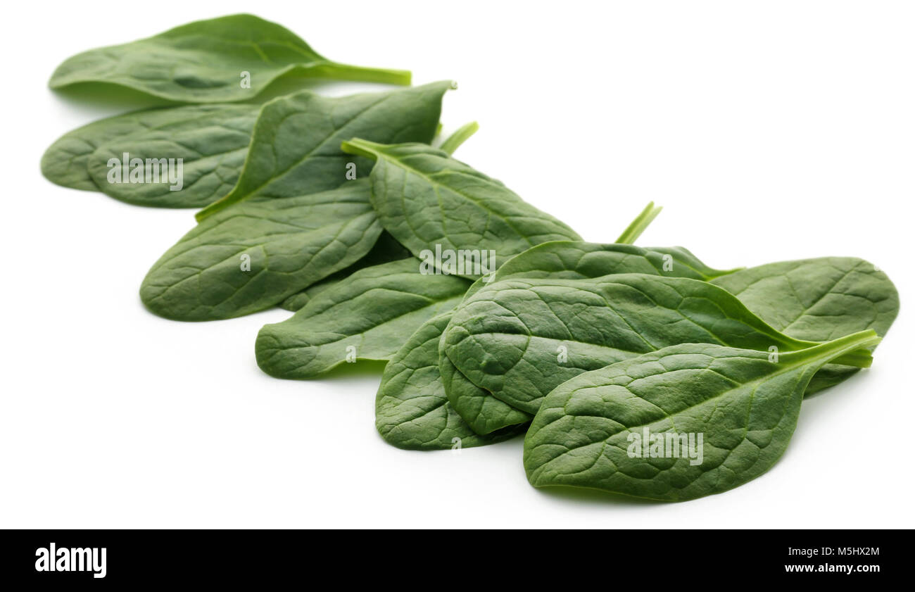 Fresh Spinach over white background Stock Photo - Alamy
