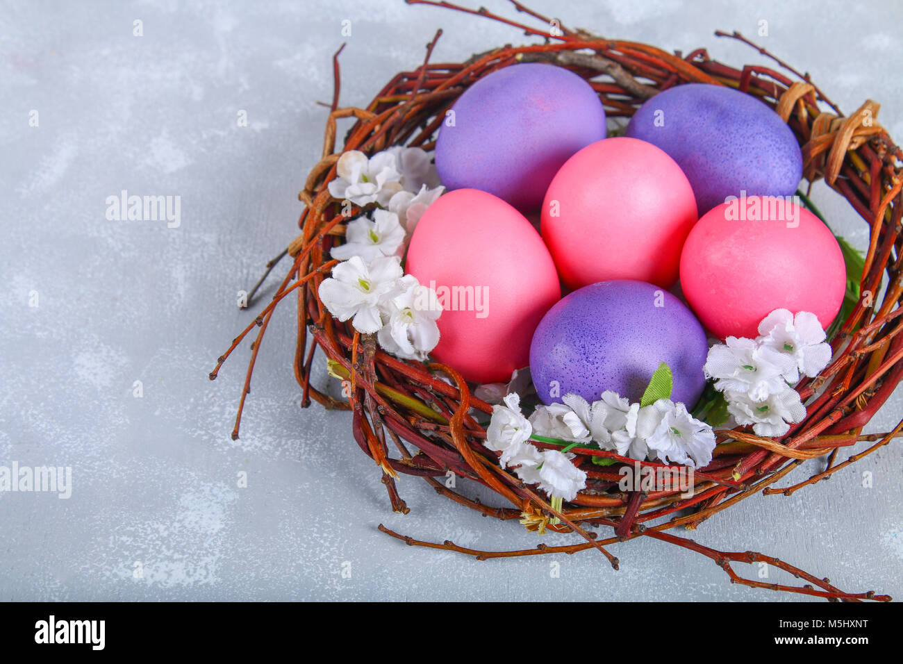 Pink and purple easter eggs in a nest with white flowers on a gray ...