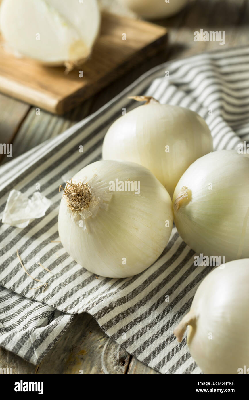 Raw Organic White Onions Ready to Cut Stock Photo Alamy