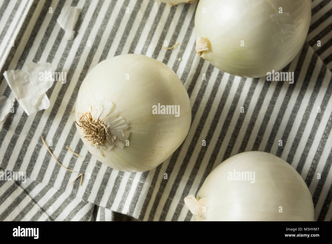 Raw Organic White Onions Ready to Cut Stock Photo Alamy