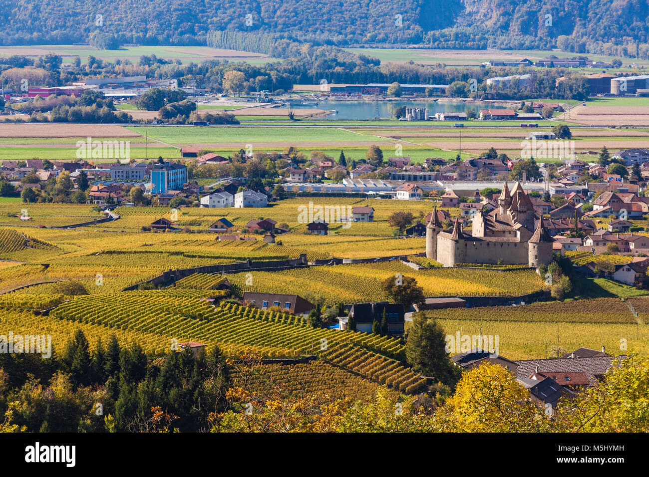Schweiz, Kanton Waadt, Rhonetal, Aigle, Weinberge, Schloss Aigle, Weinbau, Herbst Stock Photo