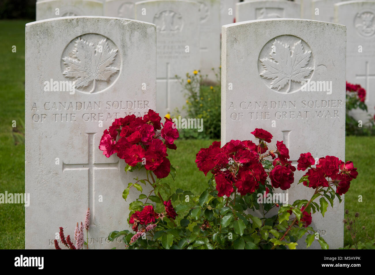 The graves of two Canadian unknown soldiers in Tyne Cot Military Cemetery, Leper, Belgium Stock Photo