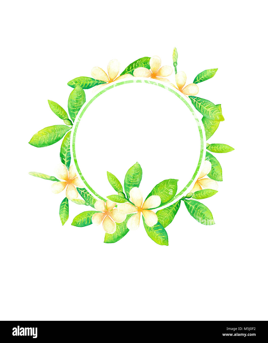 Floral round frame with tiare flowers watercolor painting Stock Photo