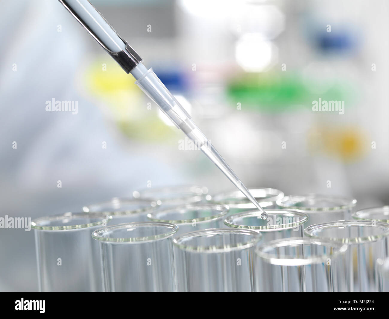 Sample being pipetted into test tubes during a laboratory experiment Stock Photo